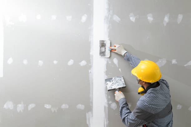Best Real Estate Mold Inspection  in China Grove, NC